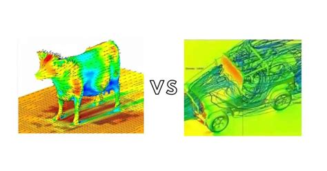 Cow Vs Jeep Aerodynamics Exploring The Similarities And Differences In