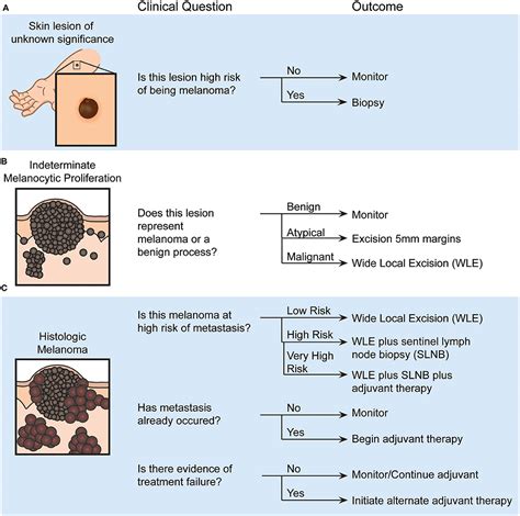 Frontiers Molecular Biomarkers For Melanoma Screening Diagnosis And Prognosis Current State