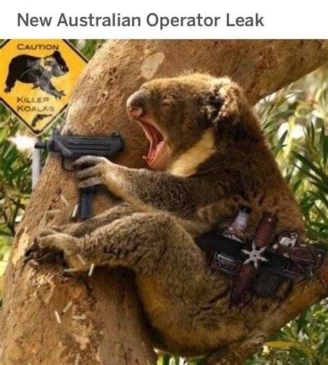 Top 24 Australian Memes Quotes And Humor