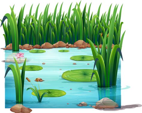 Pond Clipart Pond Clip Art Clipart Panda Free Clipart Images