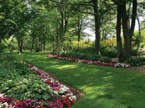 This article on usable/edible shade plants will teach you which plants grow well in your yard will inevitably have wet spots and dry spots. Shady Characters: Plants that Grow in Shade