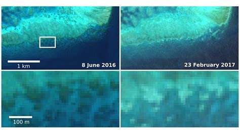 Esa Sentinel 2 Captures Coral Bleaching Of Great Barrier Reef