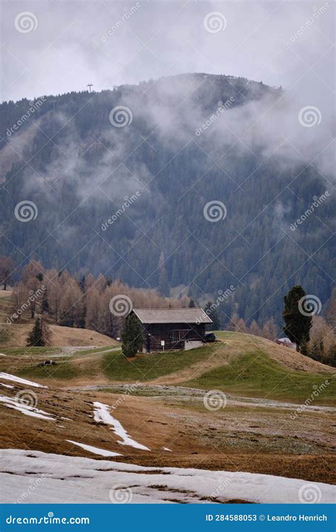 Autumn Meadow In Front Of A Barn In The Italian Alps Covered In Dense