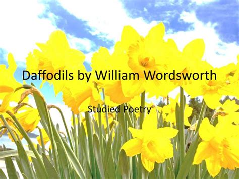 Ppt Daffodils By William Wordsworth Powerpoint Presentation Free