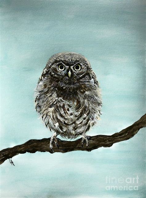 Cute Baby Owl Painting By Leslie Allen
