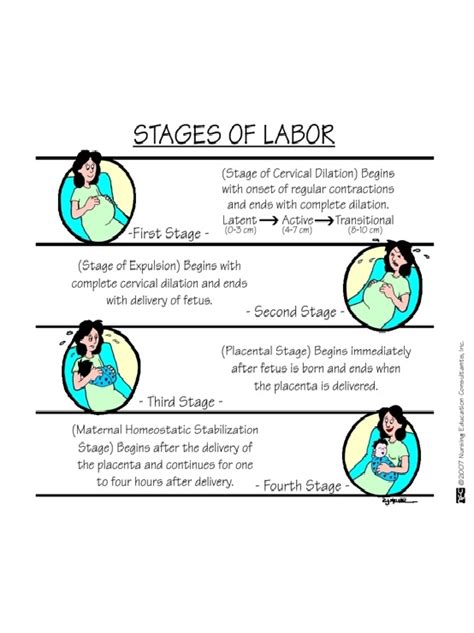 Nursing Guide 4 Stages Of Labor And Delivery Medicalkidunya