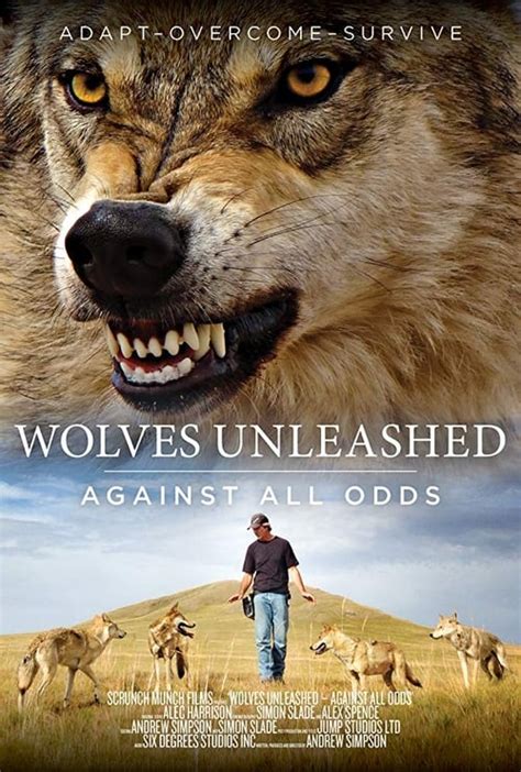 Wolves Unleashed Against All Odds 2018 — The Movie Database Tmdb