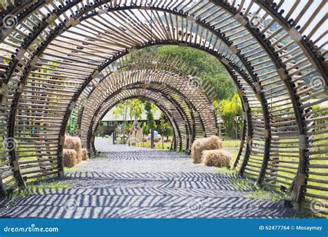 Bamboo Tunnel Stock Photography 47585012