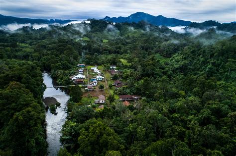 Aerial View Of West Kalimantan Aerial Views Of Sekatetang Flickr