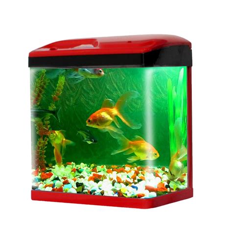 Aquarium Fish Tank Png Transparent Images Png All