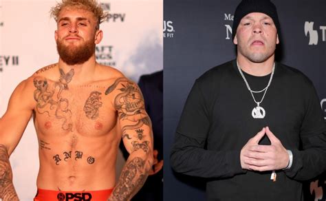 Jake Paul Vs Nate Diaz Everything You Need To Know About The Fight