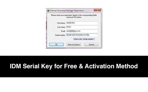 Idm Serial Keys And Serial Numbers For Lifetime Free In 2024