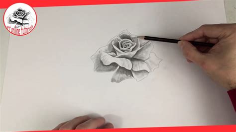 How To Draw A Rose With Pencil Video