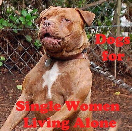 It's empowering to get to learn about yourself and what you want. Five Best Dog Breeds for Single Women Living Alone | Dogs ...