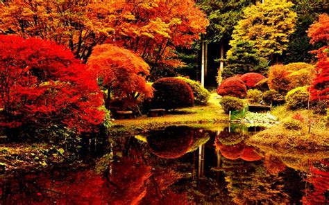 A Pond Surrounded By Colorful Trees And Foliage