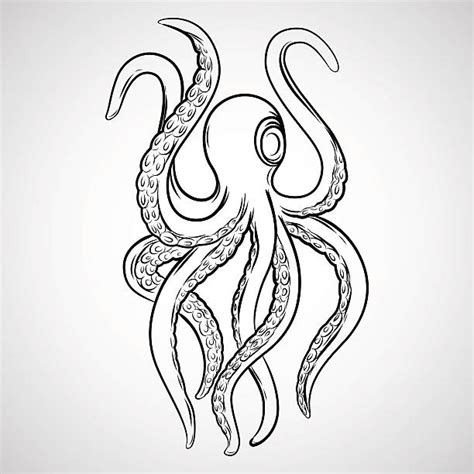 Best Kraken Illustrations Royalty Free Vector Graphics And Clip Art Istock
