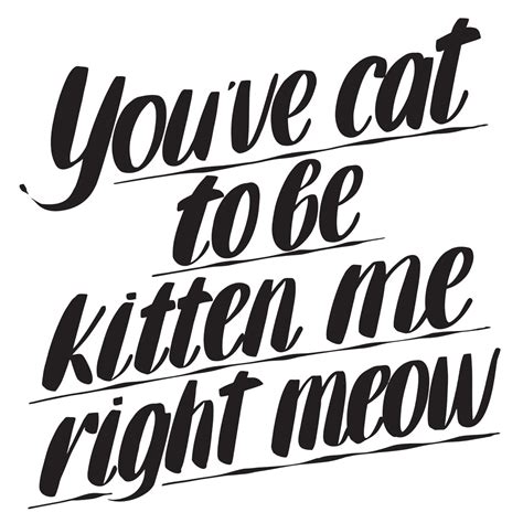 Youve Cat To Be Kitten Me Right Meow By Baron Von Fancy Baron Von Fancy