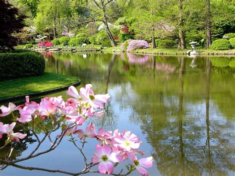 Wallpapers in ultra hd 4k 3840x2160, 1920x1080 high definition resolutions. 10 Top Free Early Spring Desktop Wallpaper FULL HD 1080p For PC Background 2020