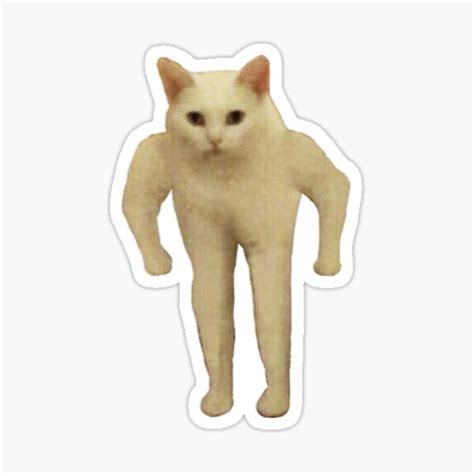 The Best 30 Standing Cat Meme Valorant Greatcentralpic