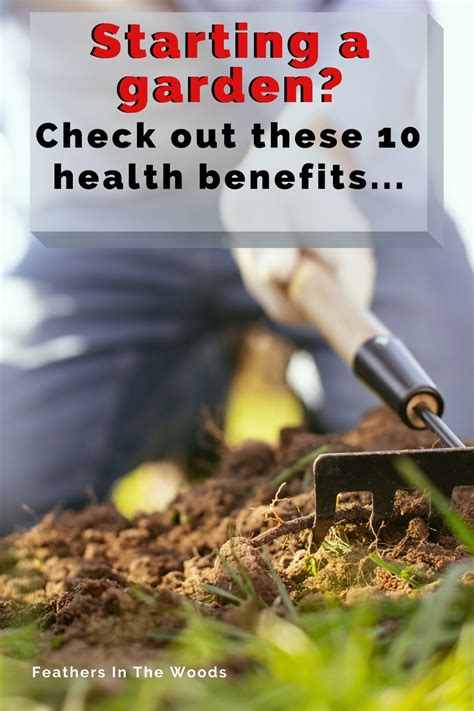Top 10 Health Benefits Of Gardening Benefits Of Gardening Health