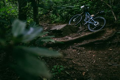 5 Province Lands Bike Trail Katyannecorina