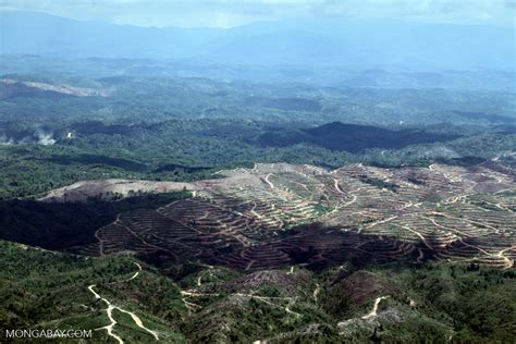 Deforestation In Borneo Sabah2461