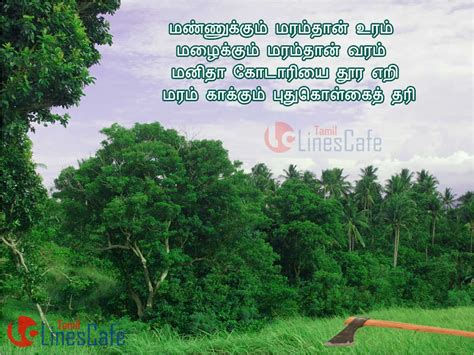 Tree Poem In Tamil Latest And New Tamil Kavithaigal