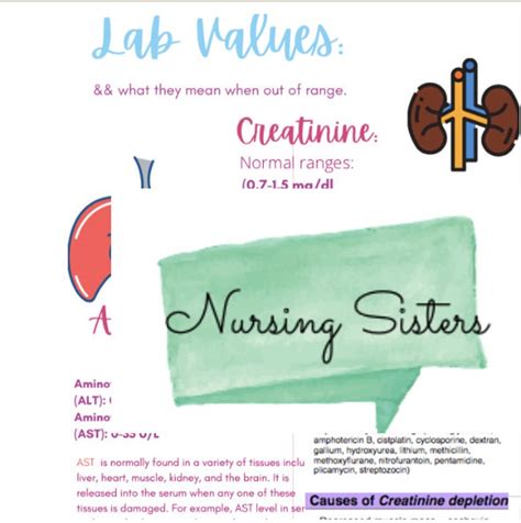 Nursing Cheat Sheet Pdf Quick Clinical Printable Guide Lab Values And