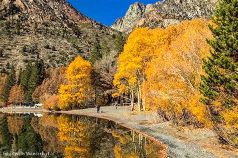 Our 6 Favorite Spots In Mono County For Fall Colors — Inked With Wanderlust