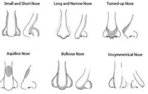 Surgery can last up to six hours. Best Ways to Make Your Nose Look Smaller: 4 Basic Ways ...