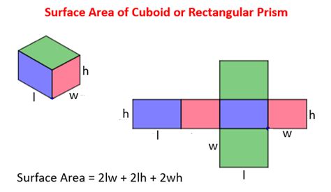 The surface area of a cylinder can be defined as the total space covered by the flat surfaces of the bases of the cylinder and the curved surface. Surface area of Cuboid (solutions, examples, videos)