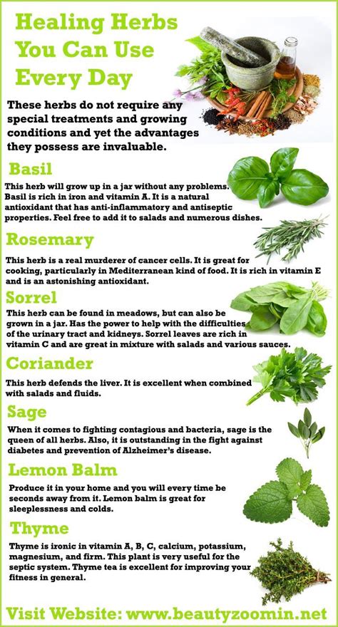 Healing Herbs You Can Use Every Day Easy To Grow Healing Herbs