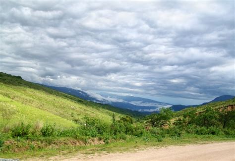 Naturaleza Y Paisajes De Catamarca Las Higuerillas Selva De Las