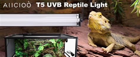 Amazon Aiicioo T5 UVB Lighting Combo Kit Desert 10 0 Terrarium