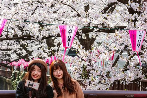 Girls Doing A Selfie With Cherry Blossoms Naka Meguro Tokyo Royalty Free Image