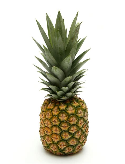 Prehistoric pineapple sitting next to its fellow citrus kin. Six Common Fruits for Weight Loss and Weight Management ...