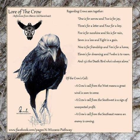Lore Of The Crow Crow Animal Spirit Guides Animal Totems