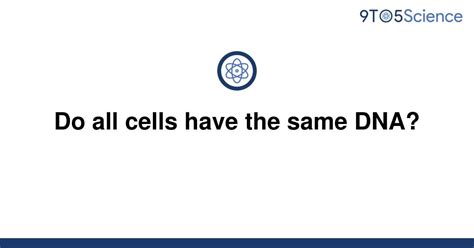 Solved Do All Cells Have The Same Dna 9to5science
