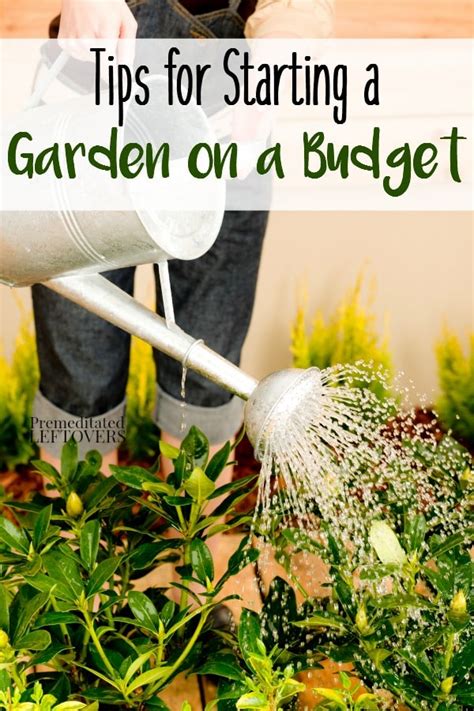 Frugal Gardening Tips How To Start A Garden On A Budget