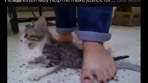 Justice For Michi Innocent Kitten Who Was Brutally Murdered On Video