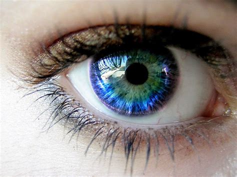 This Is How Human Eyes Get Their Color And Its Simply Amazing The Mind Unleashed