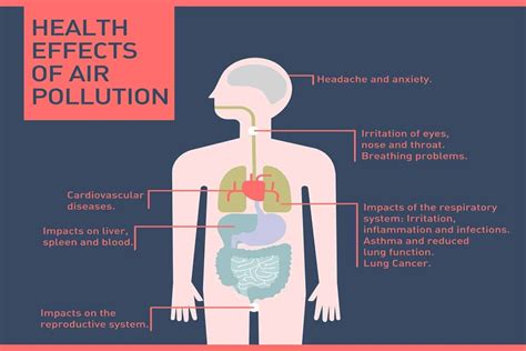 Effects Of Air Pollution On Human Health