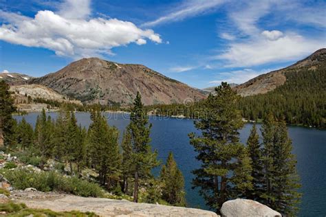 View To Tioga Lake At Yosemite National Park Stock Image Image Of