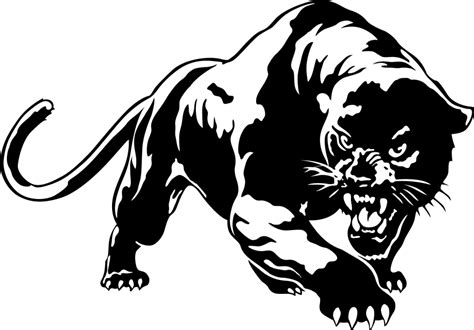 Download Cougar Black Youtube Panther Hq Image Free Png Hq Png Image