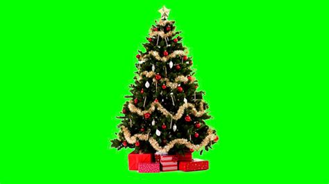 Christmas Tree 1 Green Screen Youtube
