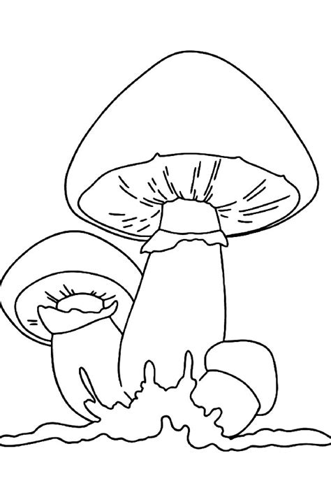Desenhos De Cogumelos Para Imprimir E Colorir Pintar