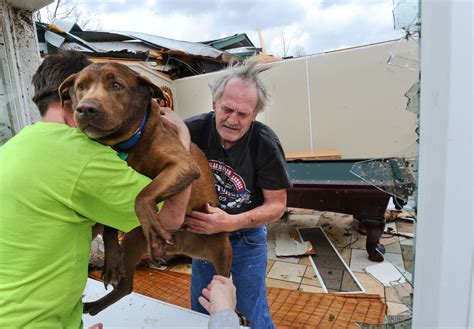 Alabama Man Greg Cook Reunited With Dog He Thought He Lost To Tornado