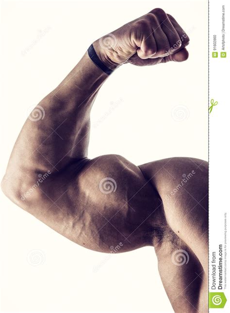 Closeup Of Man Flexing Muscular Arm Stock Photo Image Of Biceps