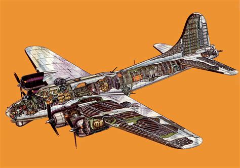 B 17 Flying Fortress Cutaway Military Airplane Aircraft Design Cutaway
