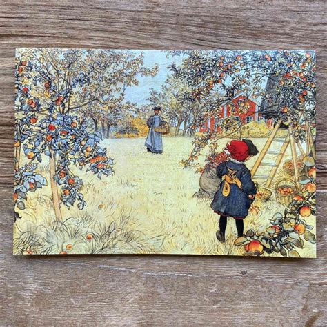 Carl Larsson Gathering Apples Greeting Card Closet And Botts